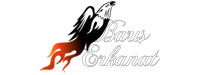 Bar Erkanat Logo